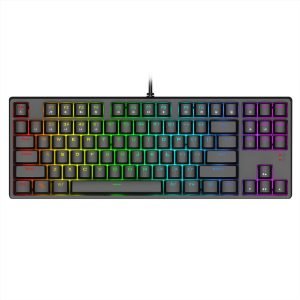 1STPLAYER DK 5.0 VER.2 LITE USB WIRED RGB TENKEYLESS TKL 87 KEYS GAMING MECHANICAL KEYBOARD (DK5.0 VER.2 LITE) - BLUE/RED SWITCH