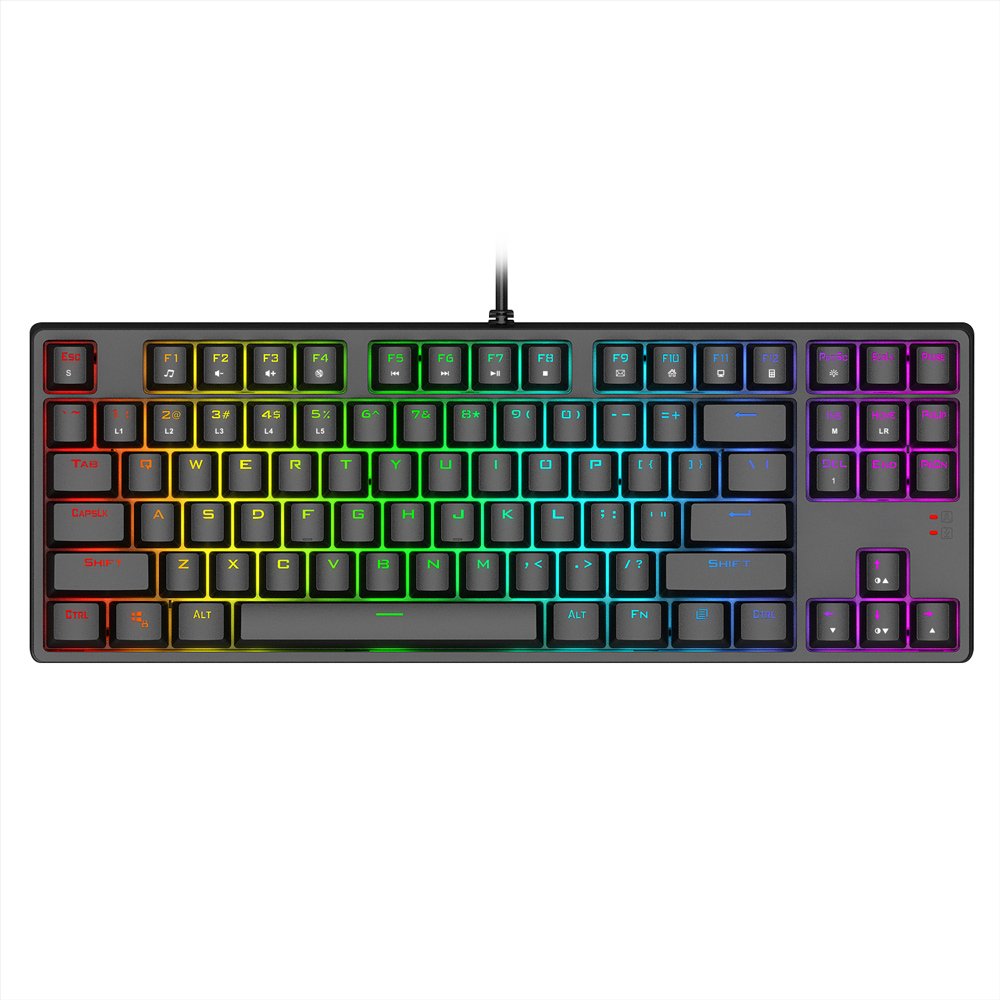 1STPLAYER DK 5.0 VER.2 LITE USB WIRED RGB TENKEYLESS TKL 87 KEYS GAMING MECHANICAL KEYBOARD (DK5.0 VER.2 LITE) - BLUE/RED SWITCH
