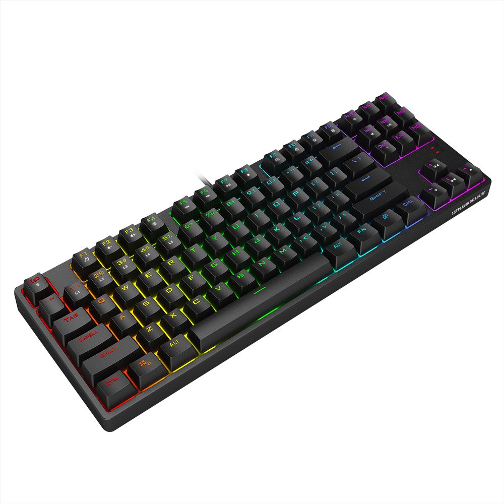 1STPLAYER DK 5.0 VER.2 LITE USB WIRED RGB TENKEYLESS TKL 87 KEYS GAMING MECHANICAL KEYBOARD (DK5.0 VER.2 LITE) - BLUE/RED SWITCH