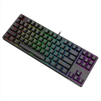 1STPLAYER DK 5.0 VER.2 LITE USB WIRED RGB TENKEYLESS TKL 87 KEYS GAMING MECHANICAL KEYBOARD (DK5.0 VER.2 LITE) - BLUE/RED SWITCH